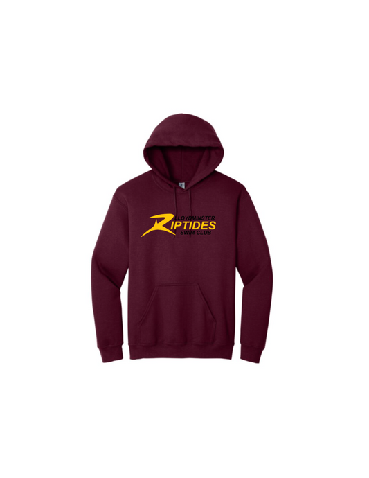 Standard Team Hoodie